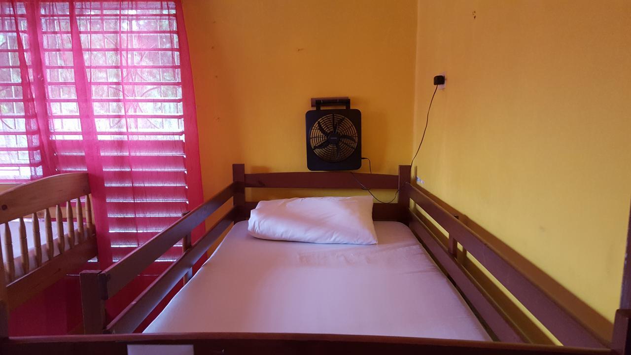 Reggae Hostel Kingston Exterior photo