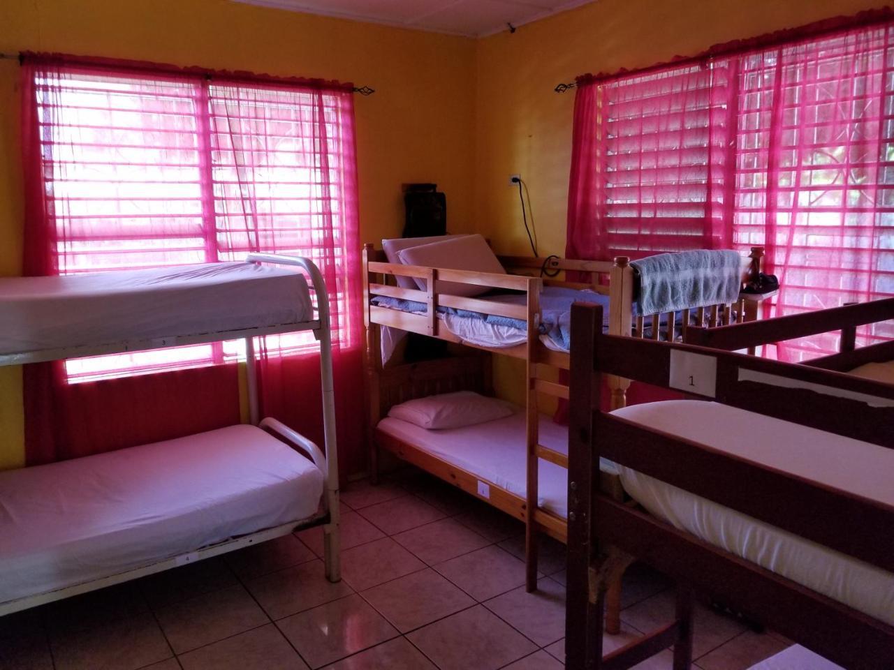 Reggae Hostel Kingston Exterior photo